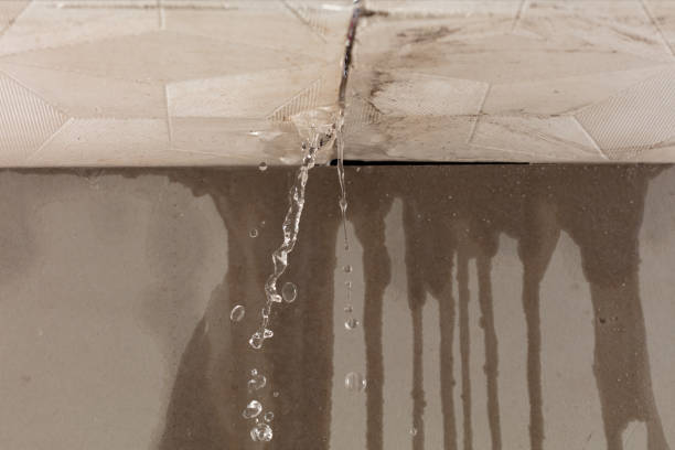 Professional Flood Damage Cleanup technician working in Galena, IL